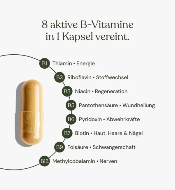 Vitamin B Komplex | 120 Kapseln von betterlife