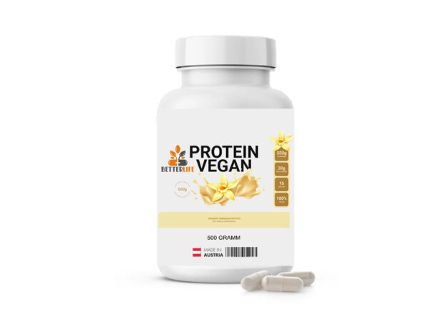 Protein Vanille | Vegan 500g